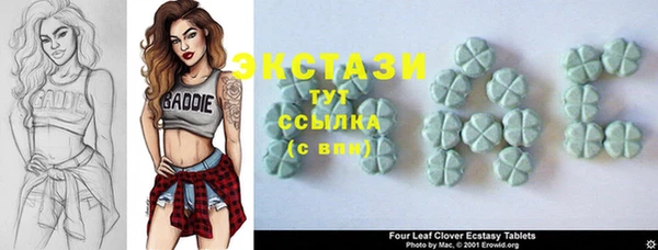 гашиш Богданович