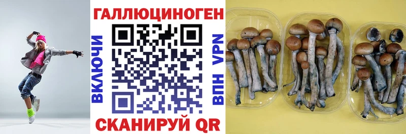 Галлюциногенные грибы мицелий  ОМГ ОМГ зеркало  Славгород 